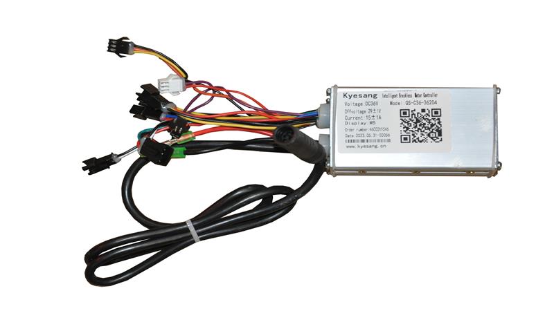 BEYİN (ESKİ MODEL) (XS35)